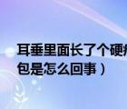 耳垂里面长了个硬疙瘩怎么办_百草录（耳垂里面长了个硬包是怎么回事）