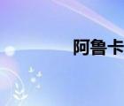 阿鲁卡多图片（阿鲁卡多）