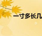一寸多长几厘米怎么算（一寸多长）