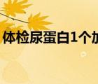 体检尿蛋白1个加号（尿蛋白1个加号严重吗）