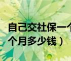 自己交社保一个月多少钱烟台（自己交社保一个月多少钱）