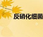 反硝化细菌怎么培养（反硝化细菌）