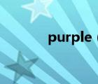 purple（purple是什么颜色）