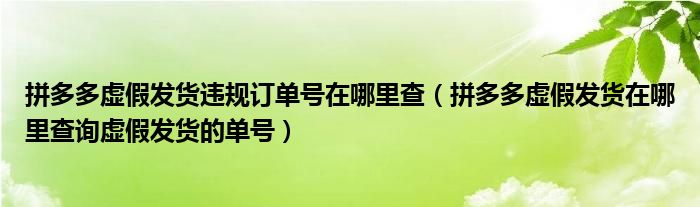 拼多多虚假发货违规订单号在哪里查（拼多多虚假发货在哪里查询虚假发货的单号）