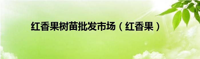 红香果树苗批发市场（红香果）