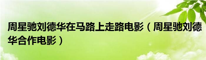 周星驰刘德华在马路上走路电影（周星驰刘德华合作电影）