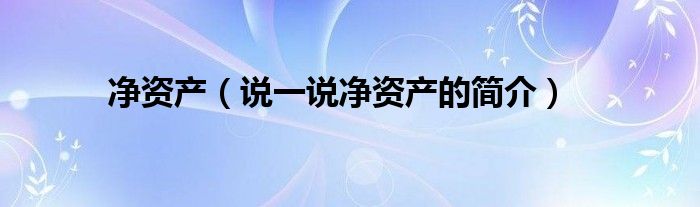 净资产（说一说净资产的简介）