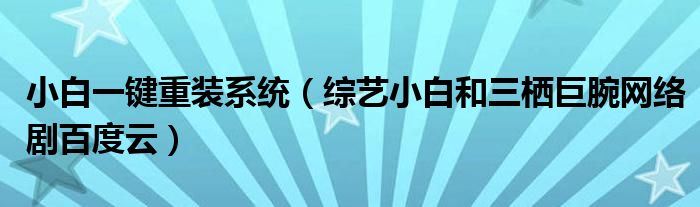 小白一键重装系统（综艺小白和三栖巨腕网络剧百度云）