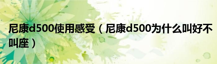 尼康d500使用感受（尼康d500为什么叫好不叫座）