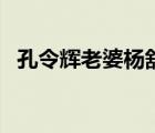 孔令辉老婆杨舒婷做什么的（孔令辉老婆）