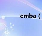 emba（说一说emba的简介）