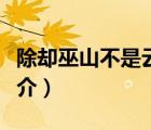 除却巫山不是云（说一说除却巫山不是云的简介）