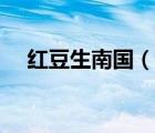 红豆生南国（说一说红豆生南国的简介）