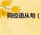 同位语从句（说一说同位语从句的简介）