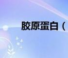 胶原蛋白（说一说胶原蛋白的简介）