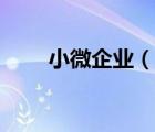 小微企业（说一说小微企业的简介）