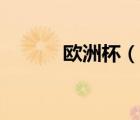 欧洲杯（说一说欧洲杯的简介）