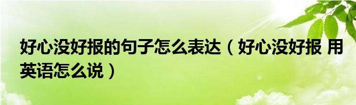 好心没好报的句子怎么表达（好心没好报 用英语怎么说）
