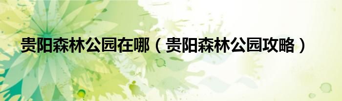 贵阳森林公园在哪（贵阳森林公园攻略）