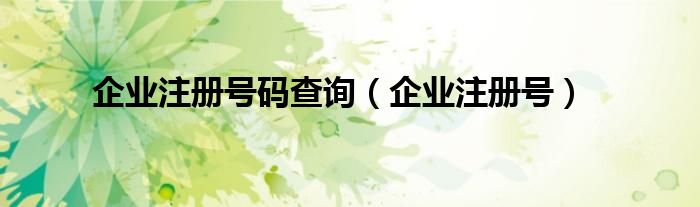 企业注册号码查询（企业注册号）