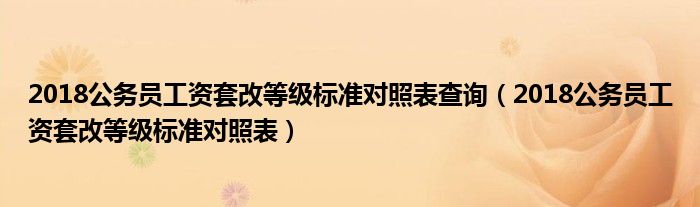 2018公务员工资套改等级标准对照表查询（2018公务员工资套改等级标准对照表）