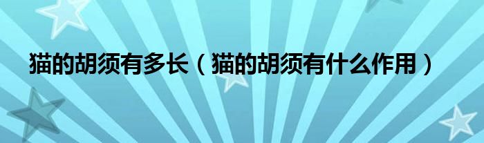 猫的胡须有多长（猫的胡须有什么作用）