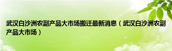 武汉白沙洲农副产品大市场搬迁最新消息（武汉白沙洲农副产品大市场）