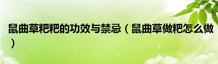 鼠曲草粑粑的功效与禁忌（鼠曲草做粑怎么做）