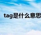 tag是什么意思解释一下（tag是什么意思）