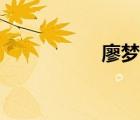 廖梦醒李湄（廖梦醒）
