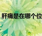 肝痛是在哪个位置图片（肝痛是在哪个位置）