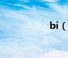 bi（说一说bi的简介）