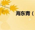 海东青（说一说海东青的简介）