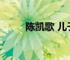 陈凯歌 儿子（陈凯歌儿孑大儿子）
