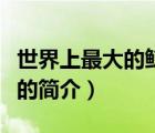 世界上最大的鲸鱼（说一说世界上最大的鲸鱼的简介）