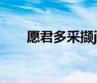愿君多采撷jie还是xie（愿君多采撷）