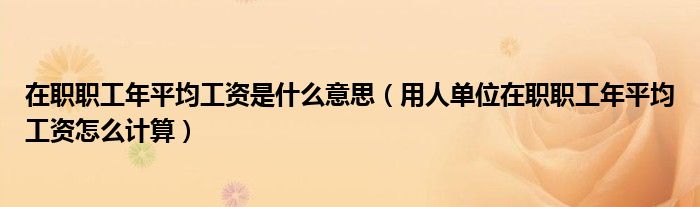 在职职工年平均工资是什么意思（用人单位在职职工年平均工资怎么计算）