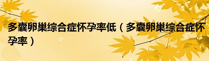 多囊卵巢综合症怀孕率低（多囊卵巢综合症怀孕率）
