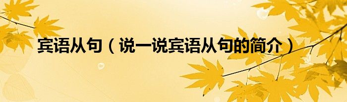 宾语从句（说一说宾语从句的简介）