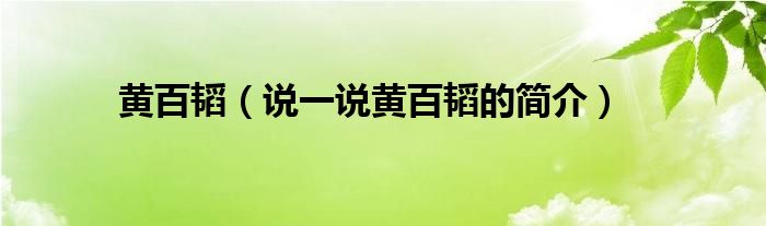 黄百韬（说一说黄百韬的简介）