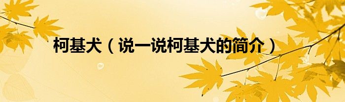 柯基犬（说一说柯基犬的简介）