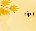 rip（说一说rip的简介）