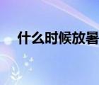 什么时候放暑假小学（什么时候放暑假）