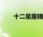 十二星座精灵王国（十二星座精灵）