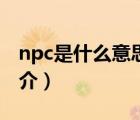 npc是什么意思（说一说npc是什么意思的简介）