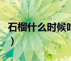 石榴什么时候吃最好吃（石榴什么时候吃最好）