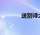 送别诗大全100首（送别诗）