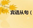 宾语从句（说一说宾语从句的简介）