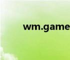 wm.games（wgm游戏平台下载）
