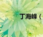 丁海峰（说一说丁海峰的简介）